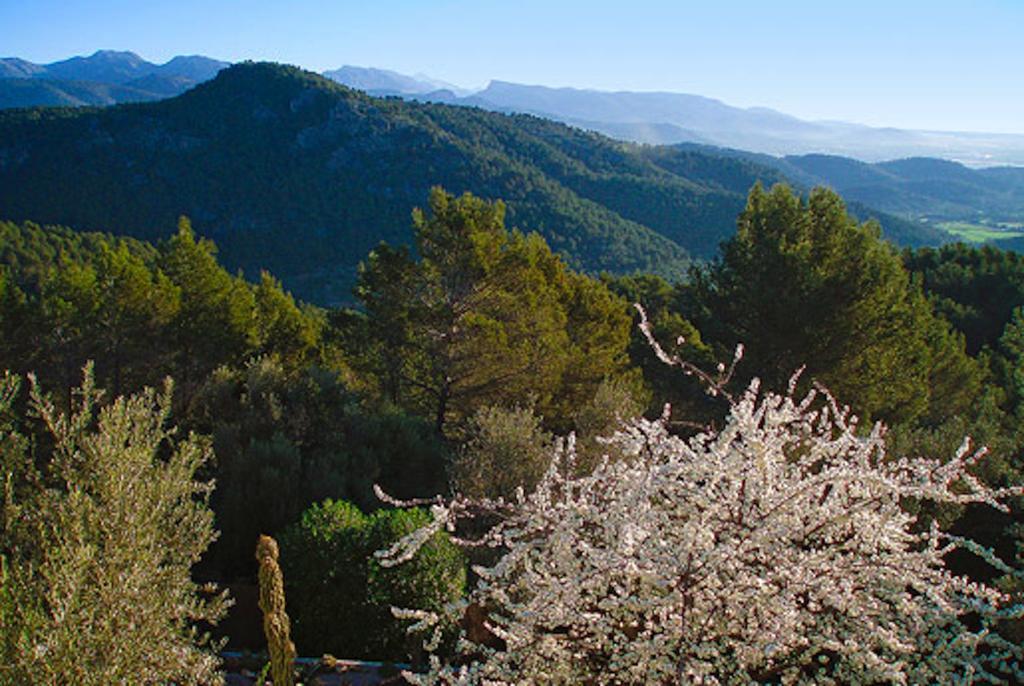 Loftotel Canet Esporles Exteriör bild